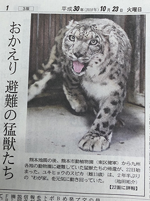 ユキヒョウのスピカ